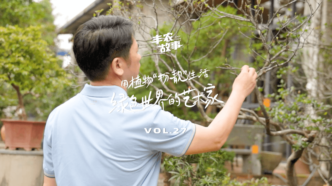 17年，他用一草一木去点亮了一个个家。