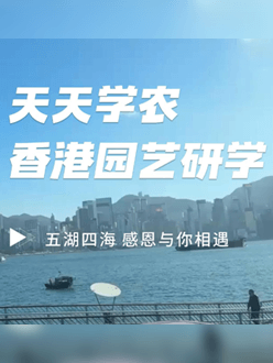 与香港园艺学会联合举办香港园艺研学，专业园境师带队讲解。